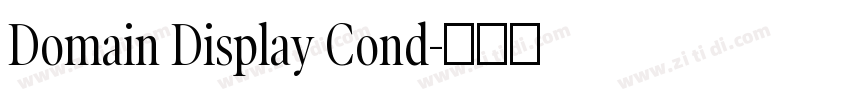 Domain Display Cond字体转换